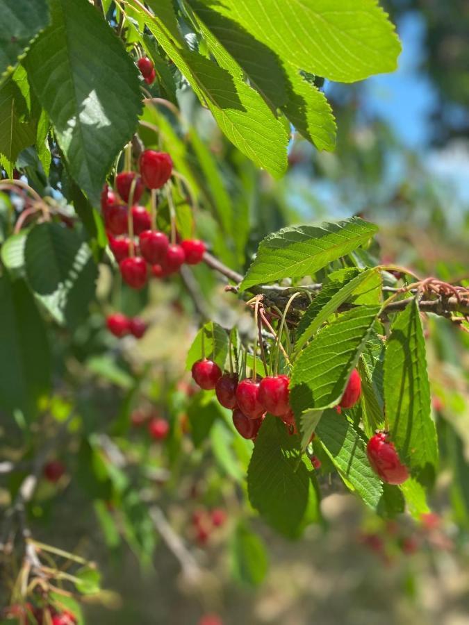 Gite Du Cerisier Raddon-et-Chapendu Dış mekan fotoğraf